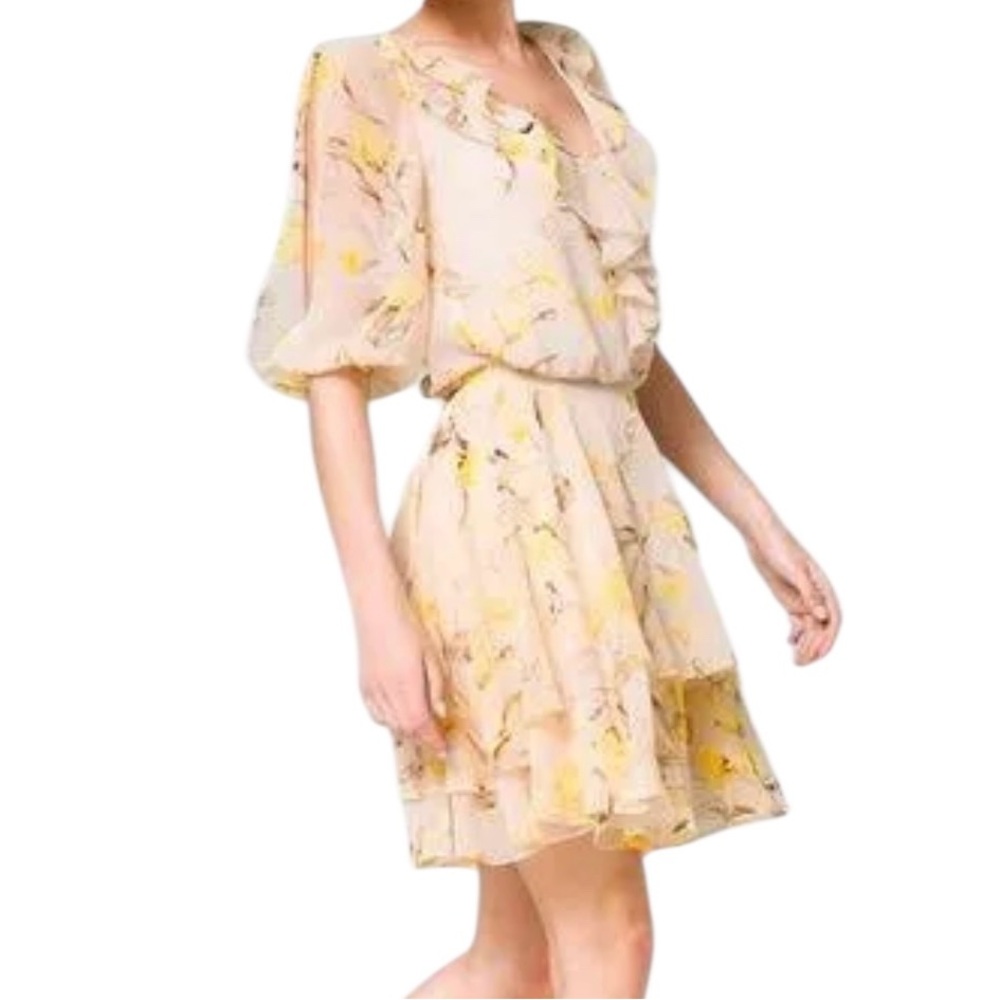 White House Black Market Floral Print
Ruffle Trim Blouson Dress Med Sheer NWT